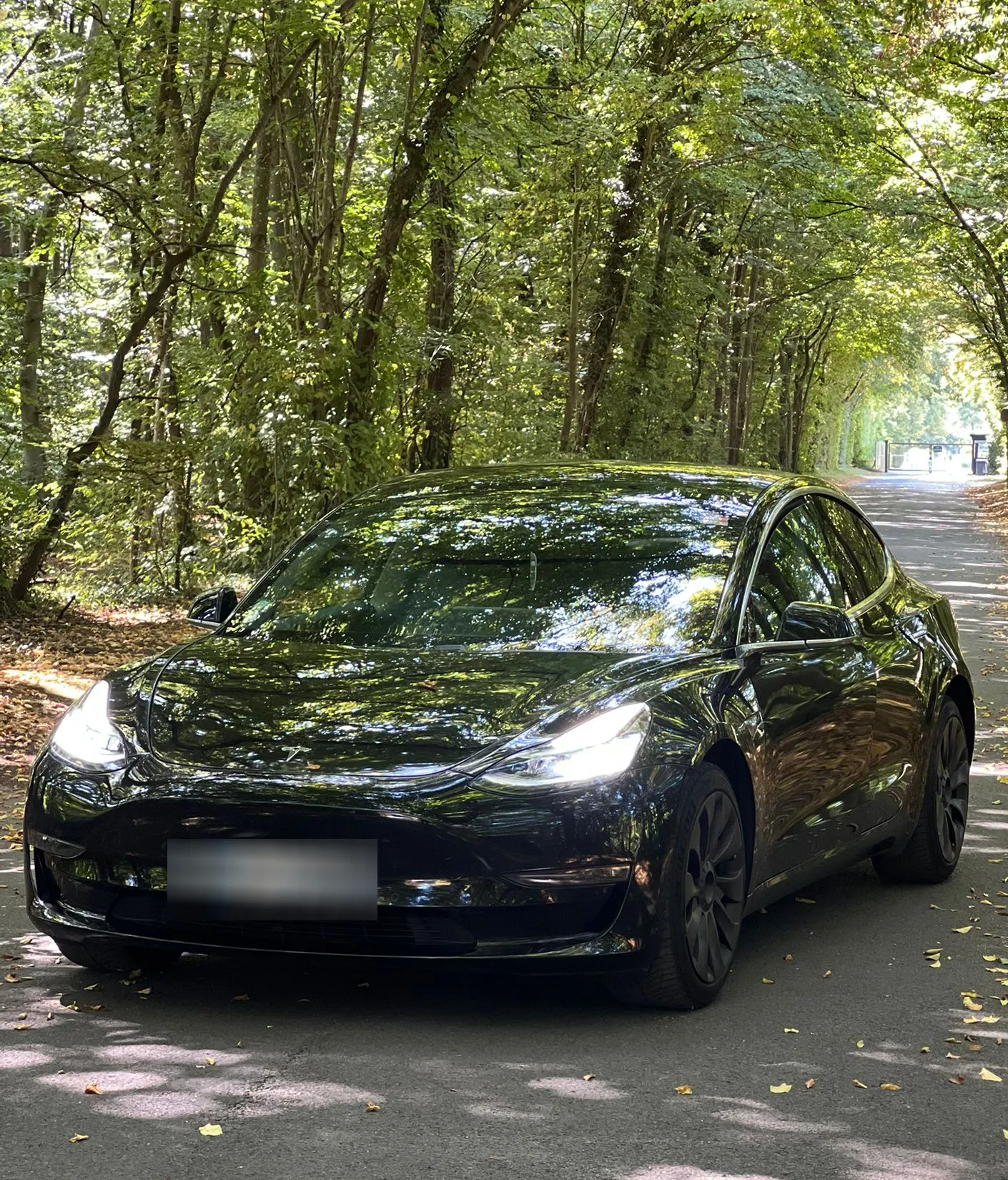 Berline éco et berline premium